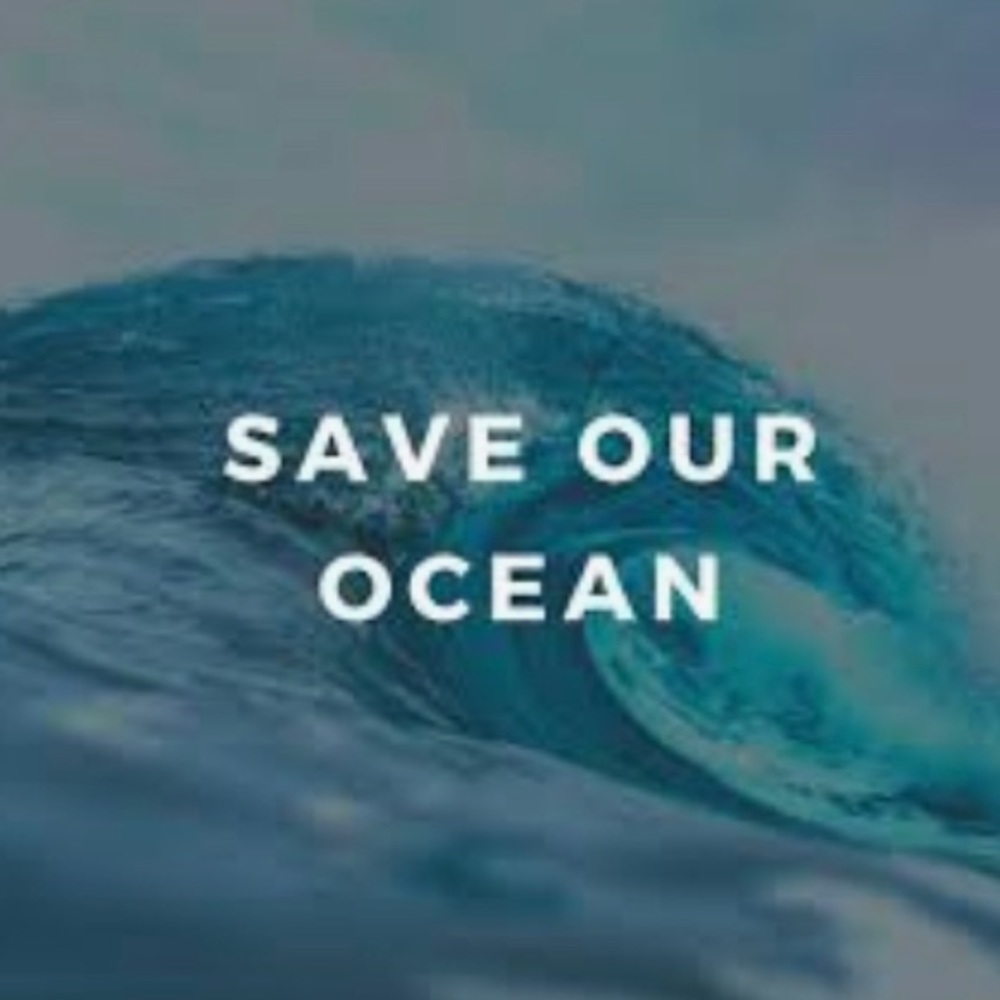 Save OUR Ocean 🌊